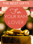 Best Gifts for RAM lovers & Owners